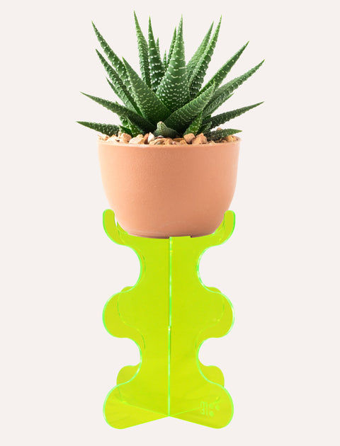 Wave Plant Stand