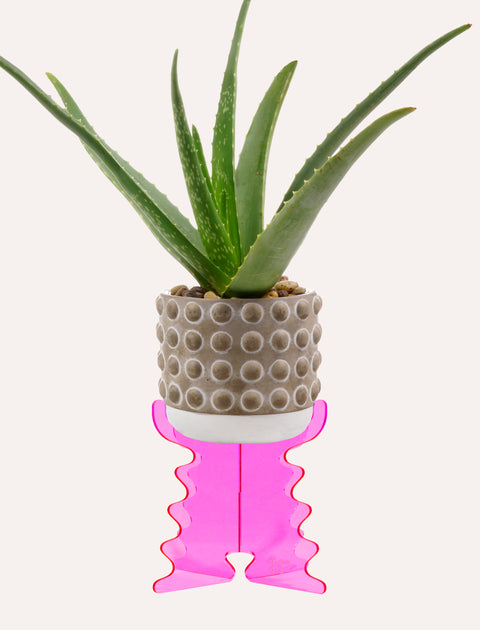 Ripple Plant Riser